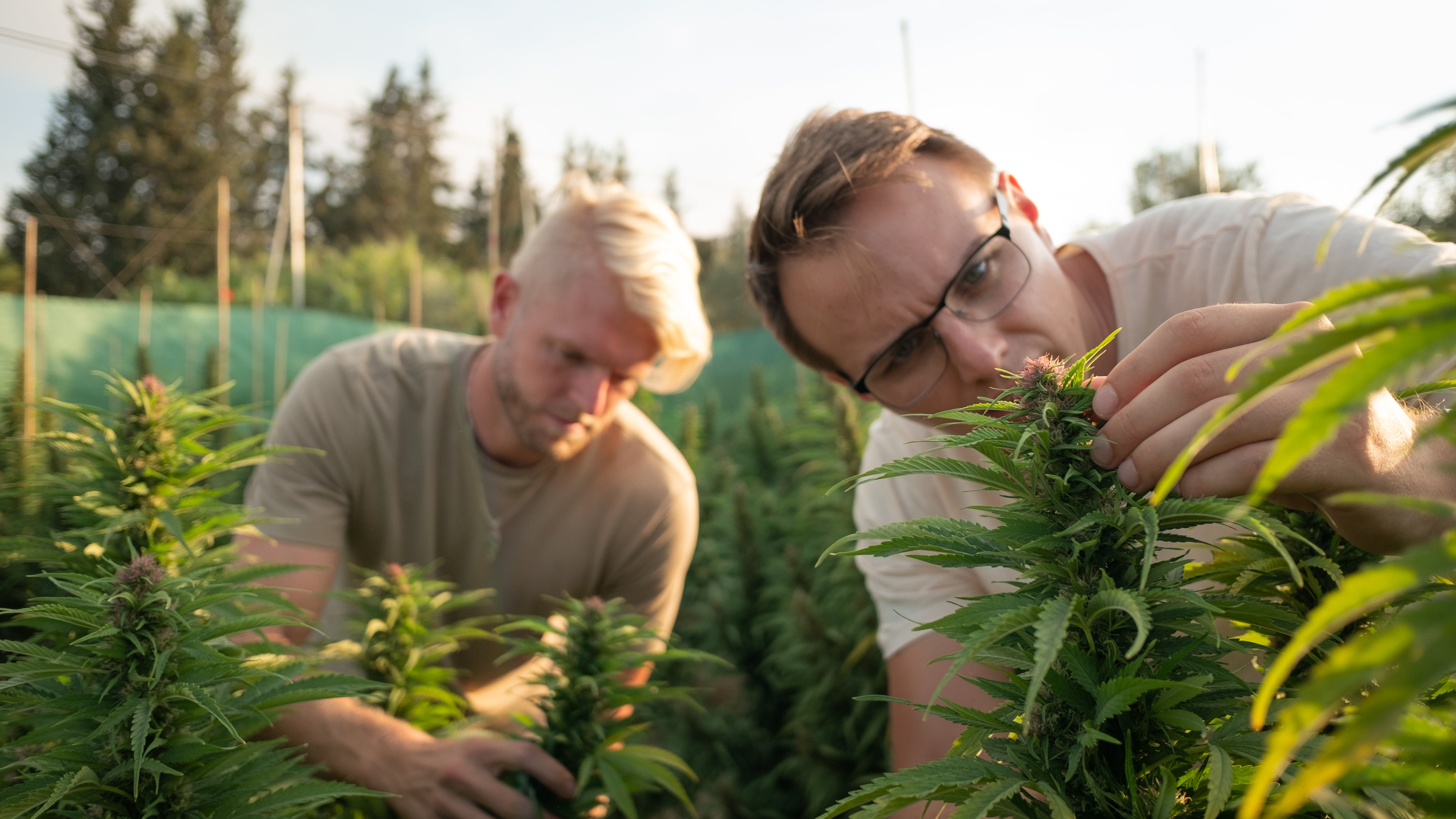 Året der gik: Tak for en fantastisk rejse