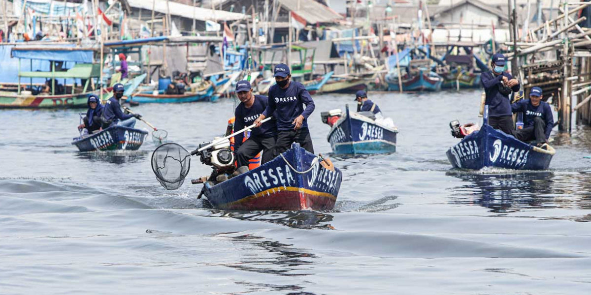 Resea x Raw Organics