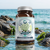 Vegansk Alge Omega 3 – produktbillede i naturlige omgivelser
