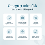 Vegansk Alge Omega 3 – fordele